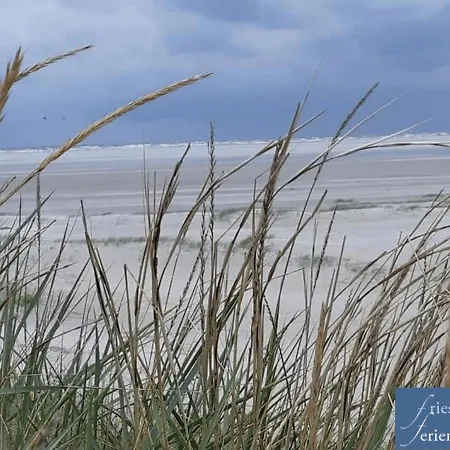 Friesenhain Ferienwohnungen Sankt Peter-Ording Exterior photo
