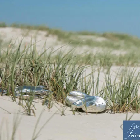 Friesenhain Ferienwohnungen Sankt Peter-Ording Exterior photo