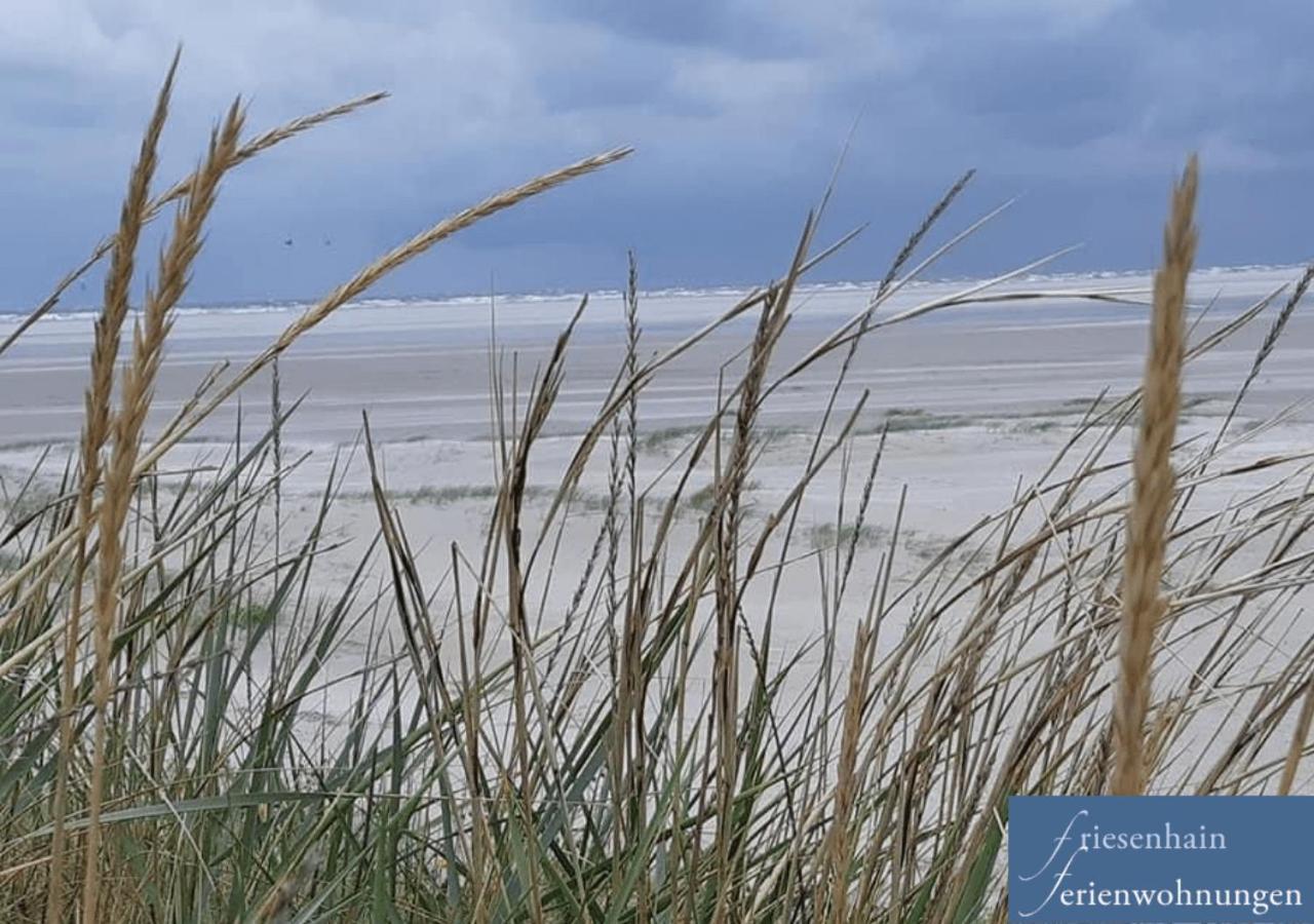 Apartment Friesenhain Sankt Peter-Ording